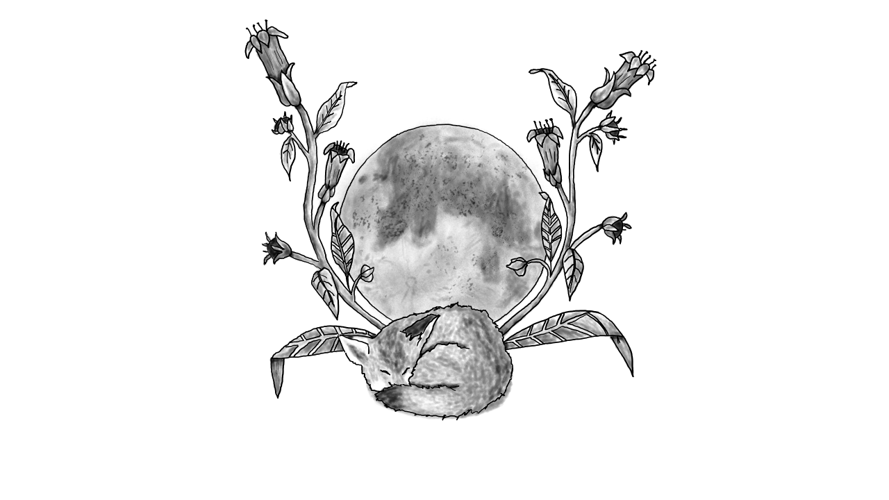 Nightshade Moon
